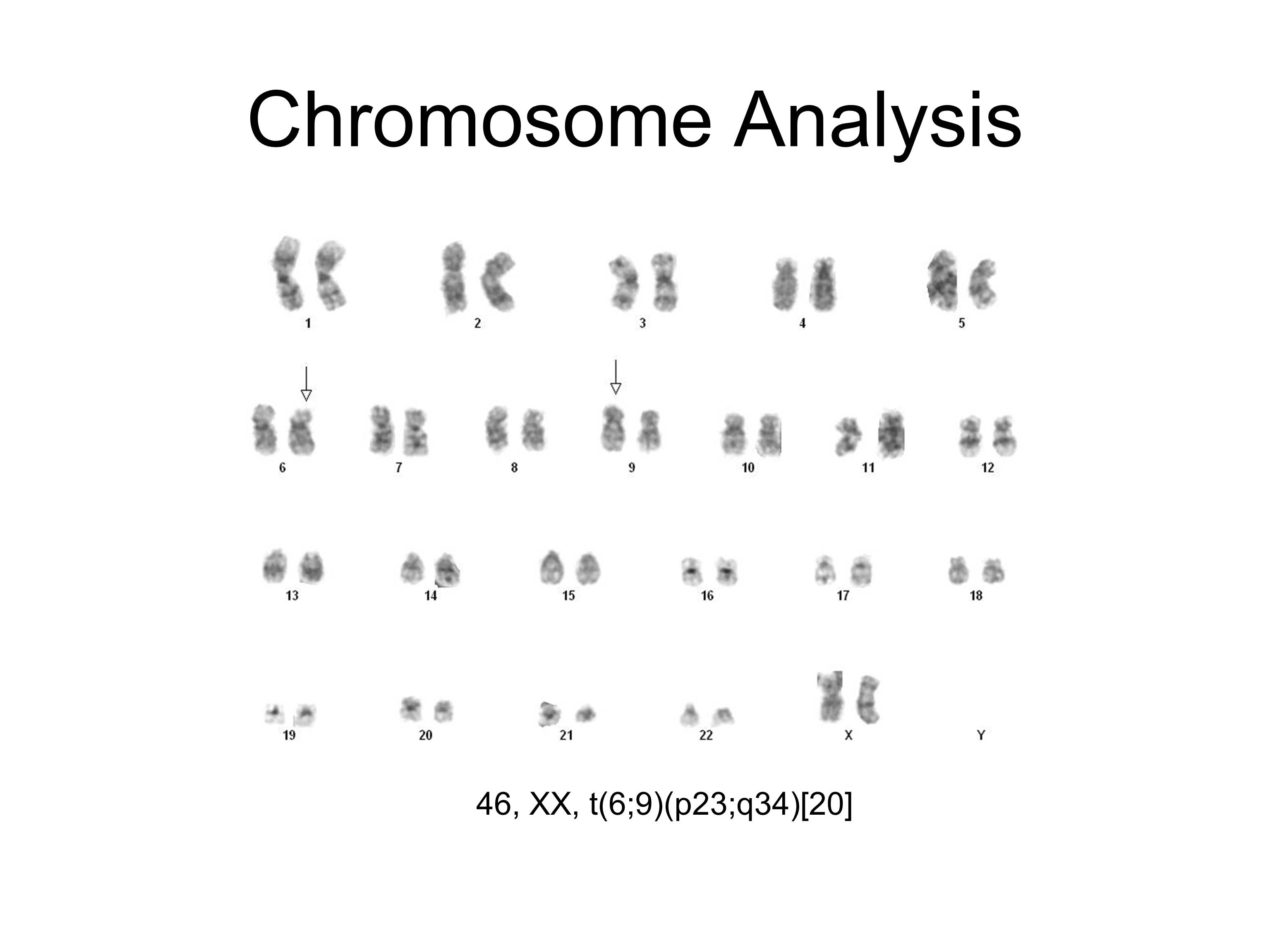 Additional figure 2: Cytogenetics