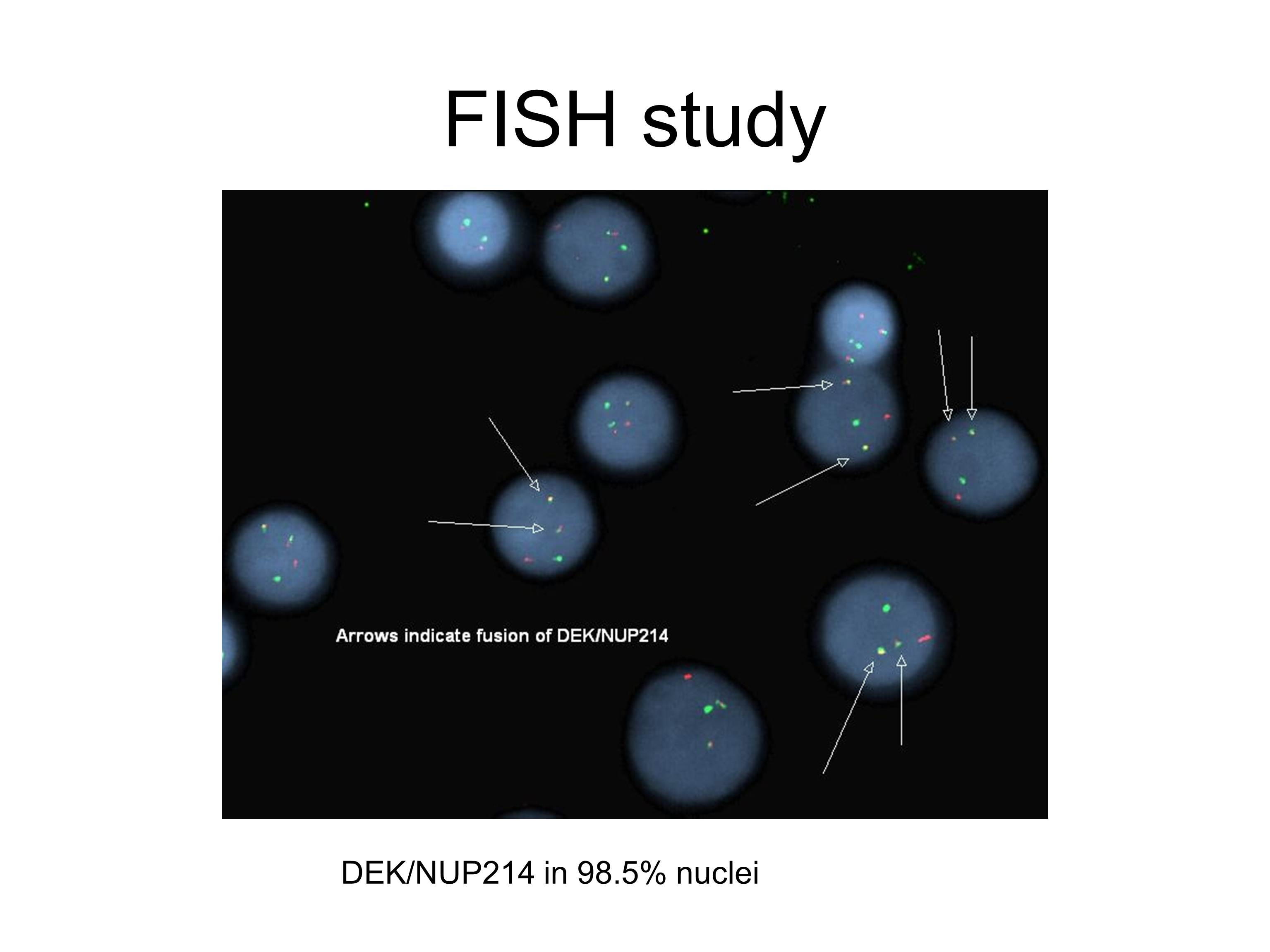 Additional figure 3: FISH