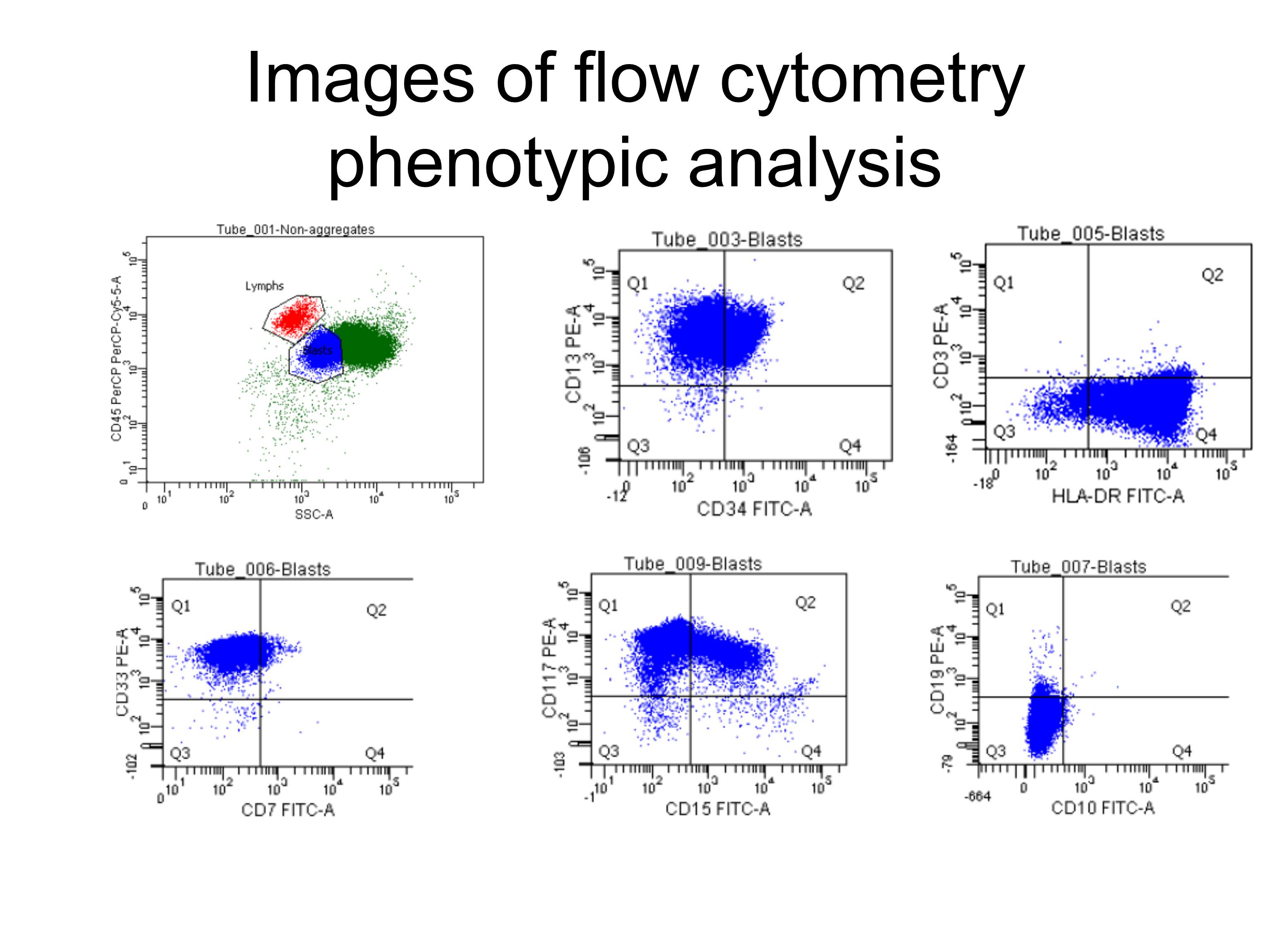 Additional figure 4: Flow