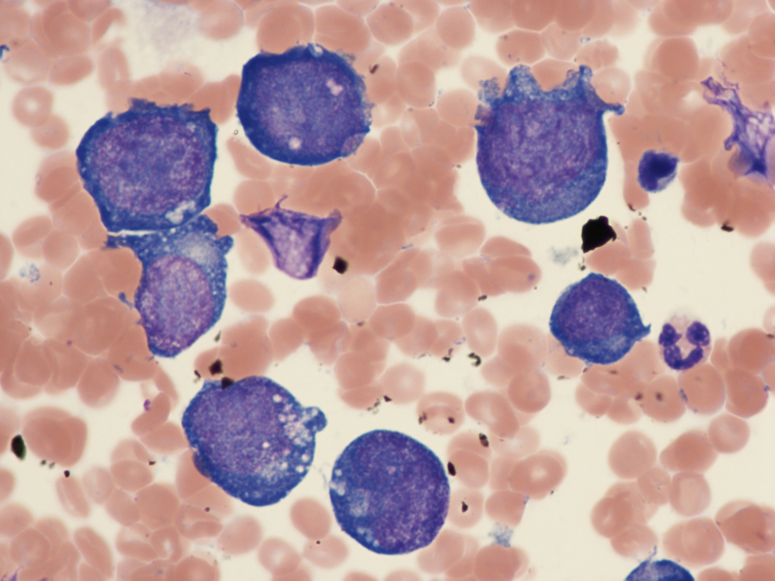 Additional figure 2: Smear