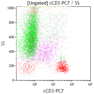 Blasts: intermediate cytCD3 intensity