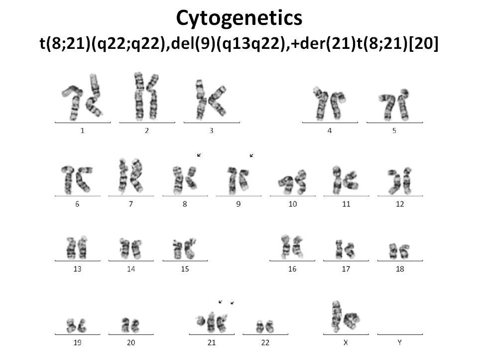 Cytogenetics
