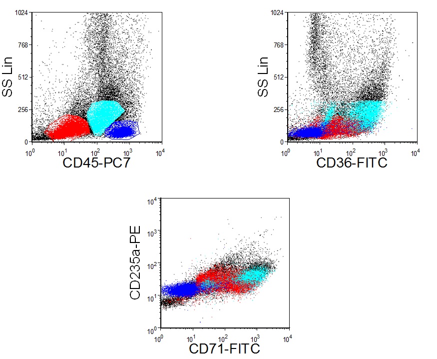 Additional figure 1: Flow