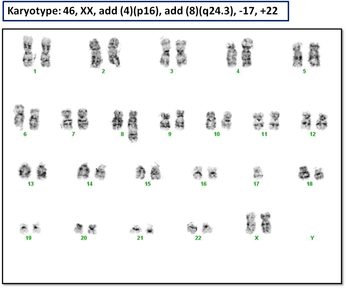 Fig 4