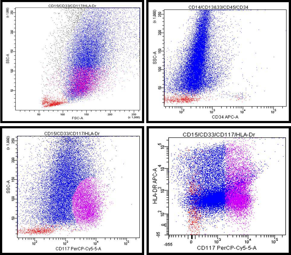 Image 5: Flow cytometry