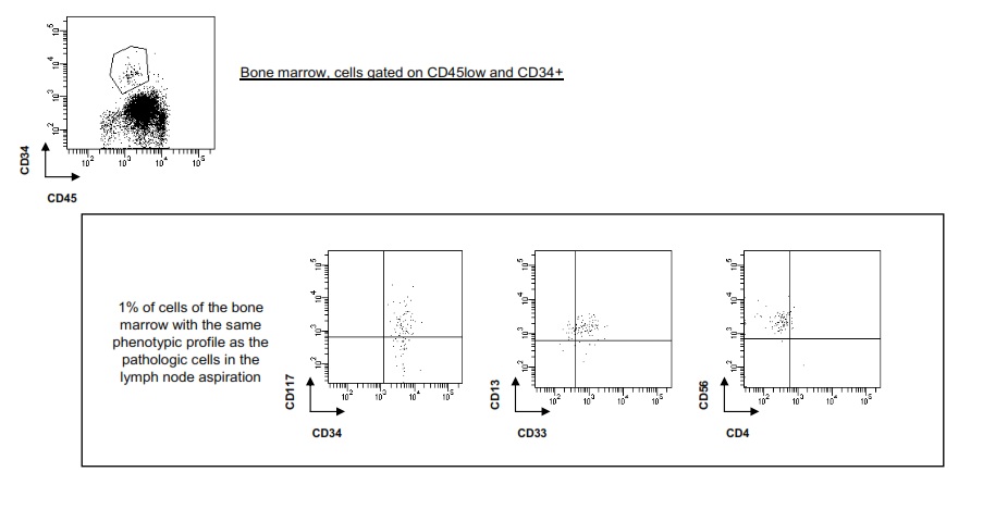 Additional figure 6: Flow