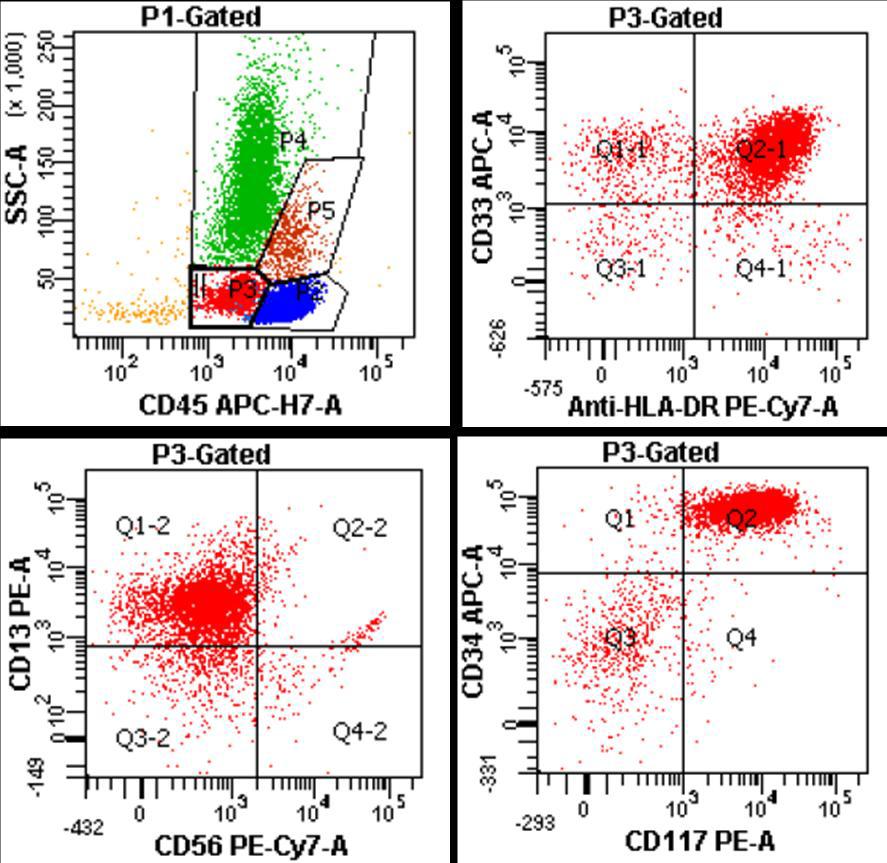 Flow cytometry dot plots