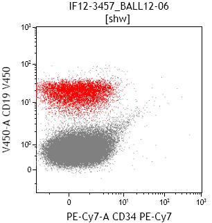 Flow cytometry CD19 and CD34 (blasts in red)