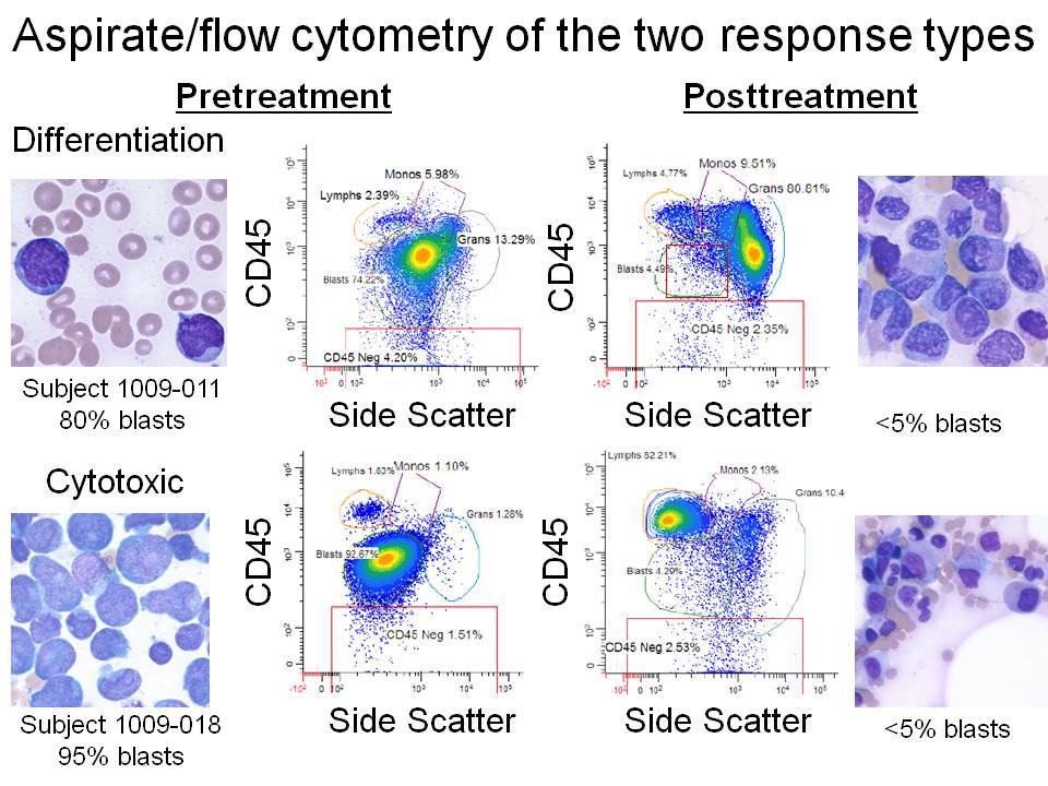 Flow cytometry, pretreatment and posttreatment for differentiation and cytotoxic responses