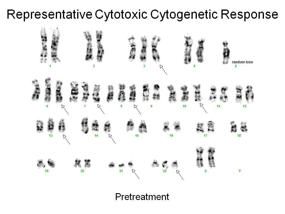 Karyotype, representative cytogenetic response, pretreatment