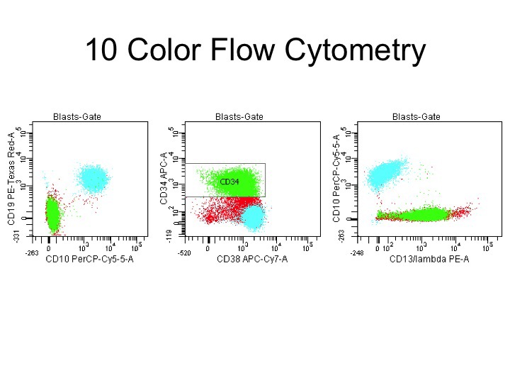 10 color flow cytometric analysis showed separate, distinct populations. One population had a myeloid phenotype with CD34 and CD13, but not CD10 or CD19. The second population expressed CD10 and CD19, but not CD34 or CD13.