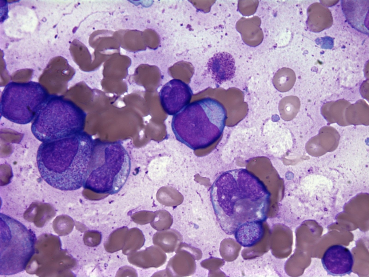 Fig 4