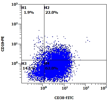 Fig 11
