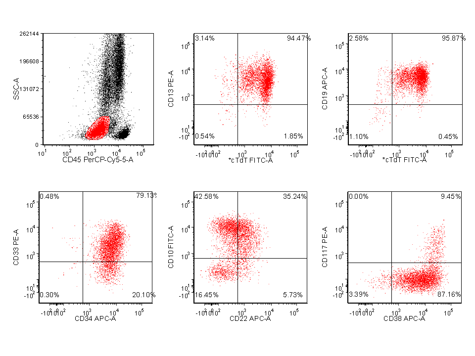 Flow cytometry, peripheral blood (blast gate 26%)