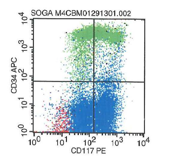 Flow cytometry shows excess blasts