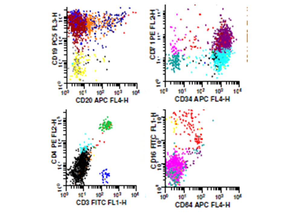 Flow cytometry marrow aspirate in Lab2