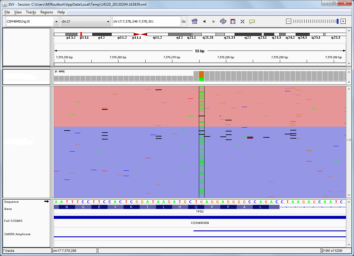 Next generation sequencing showing a mutation in TP53 gene.