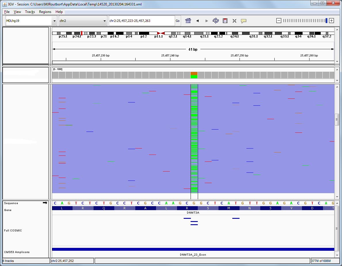 Next generation sequencing showing a mutation in DNMT3A gene.