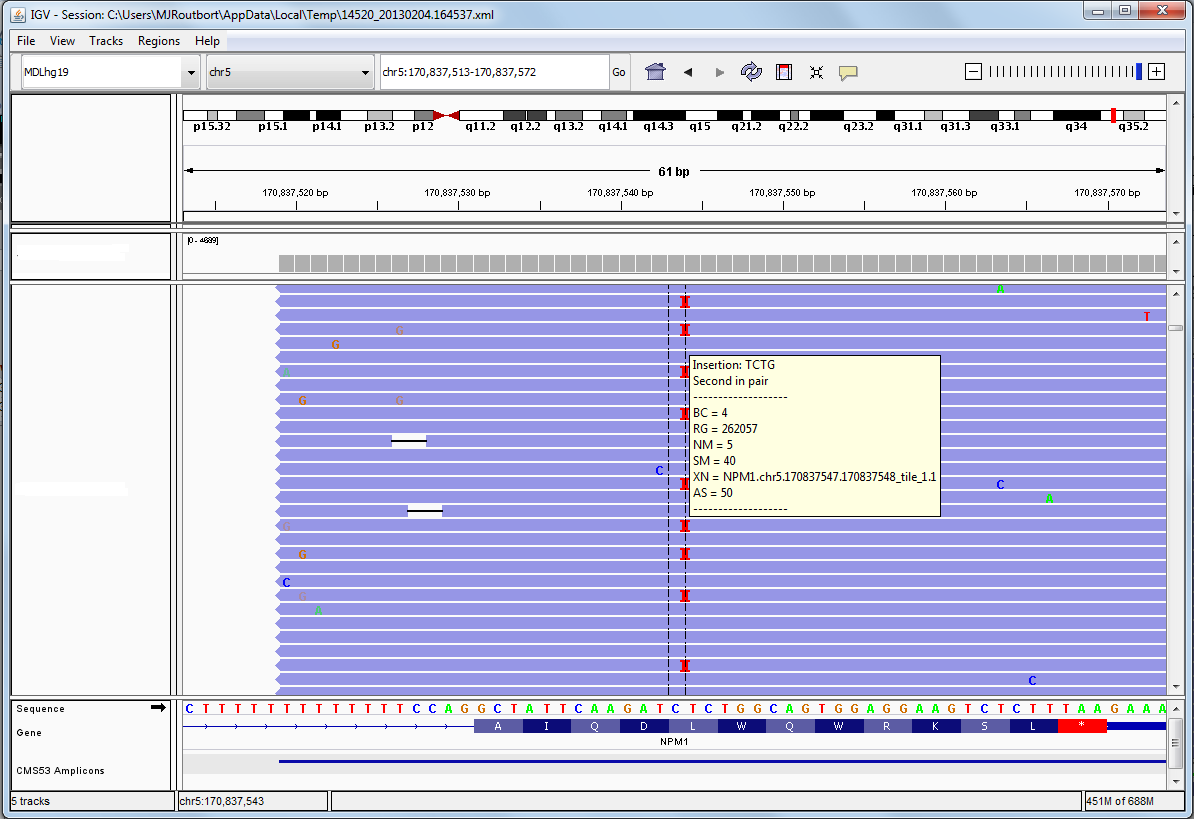 Next generation sequencing showing a mutation in NPM1 gene.