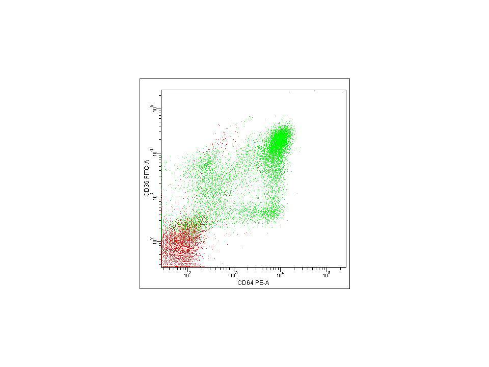 Image 11 Flow cytometry
