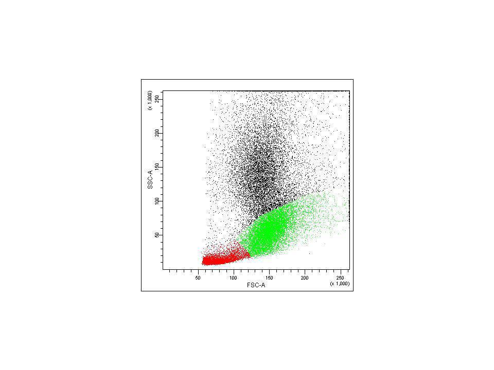 Image 8 Flow cytometry