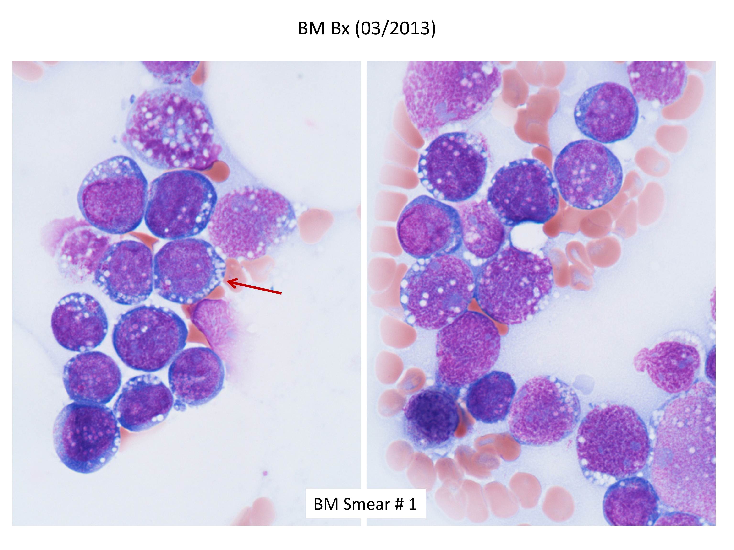 Additional figure 2