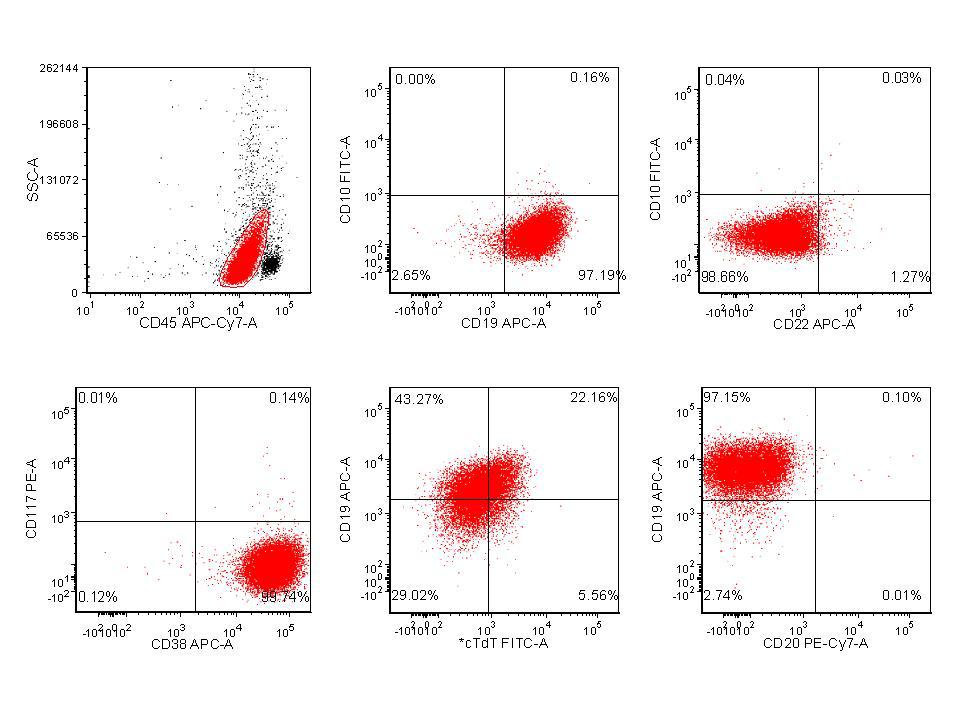 Figure 7. Flow cytometry, bone marrow aspirate